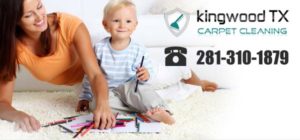 Kingwood TX Carpet Cleaning
